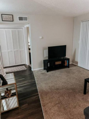 Cozy 1Bedroom Apt Near downtown Tampa